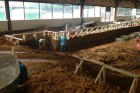 The pool is being dug at Goldfish Swim School in  Reston. (Photo courtesy of Goldfish Swim School)