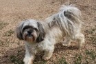 bandit2