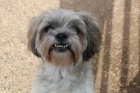 bandit3