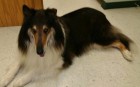 sampson2