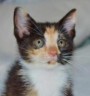 lucy