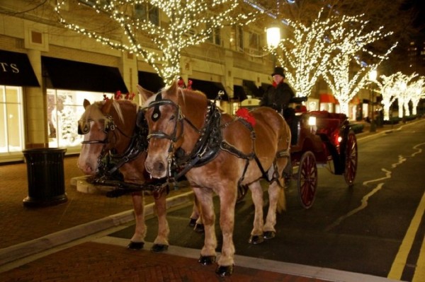 Horse-drawn carriage at Reston Town Center/Credit: Reston Town Center