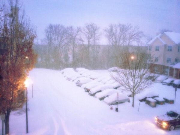Snow in Reston Feb. 13/Credit: Stephanie Ortez via Twitter