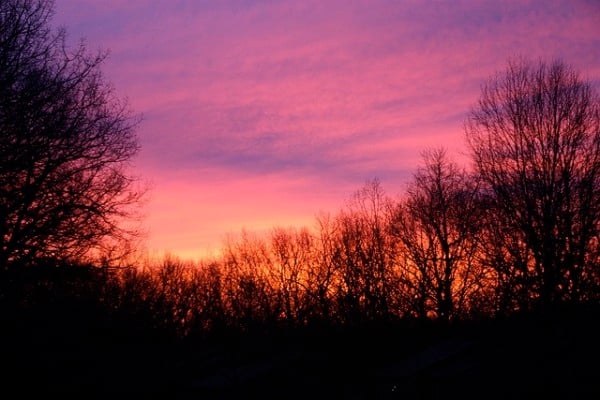 Dawn in Reston by Busy Bee via Flickr