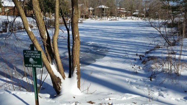 Frozen Lake Thoreau/Credit: Cindy Chiou-Conlin
