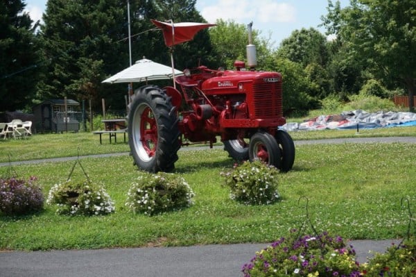 Tractor at Reston Farm Market