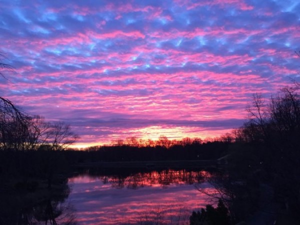 Sunset at Lake Newport/Credit; Nick Dowsett via Twitter
