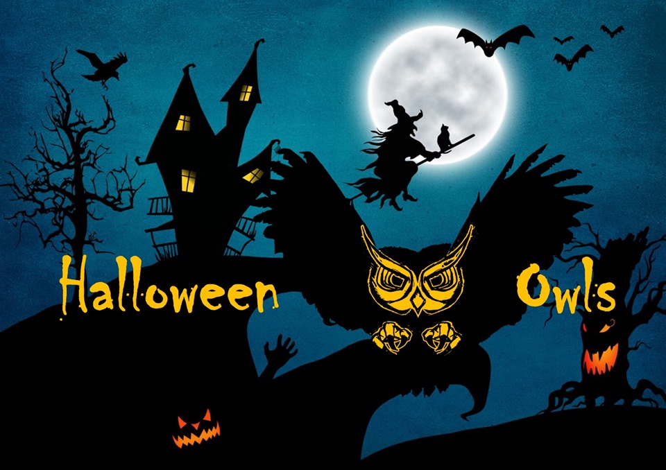 Here's Where to Find Halloween Events Around Reston ...