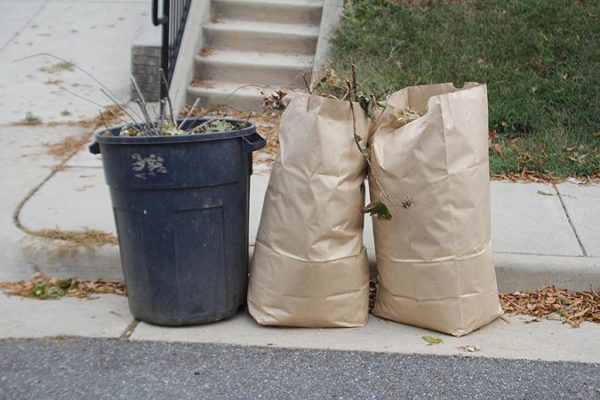 Plastic Bags Are Out and Paper Is In for Yard Waste, Fairfax County Says - Vimarsana News