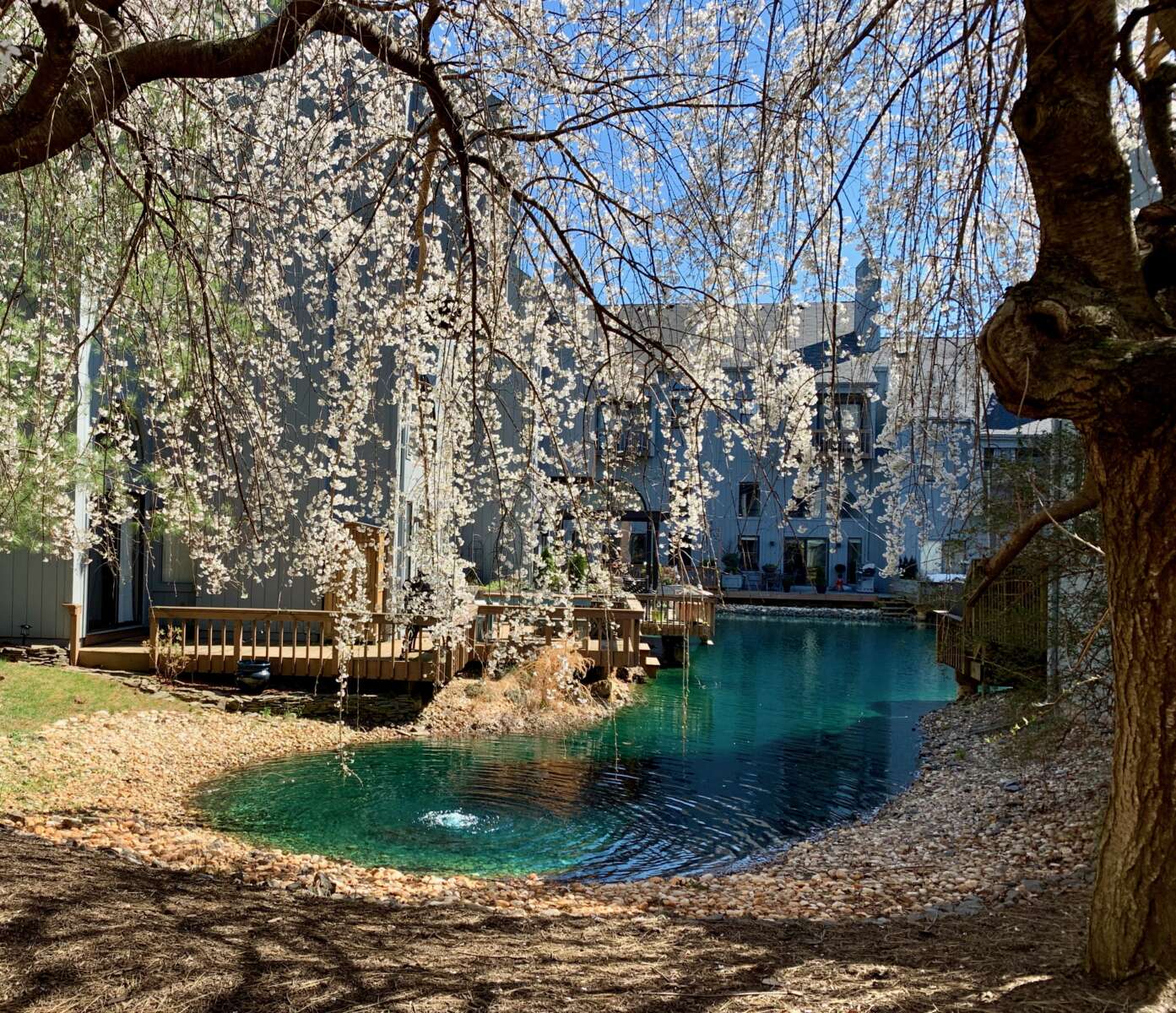 Morning Notes | Reston Now