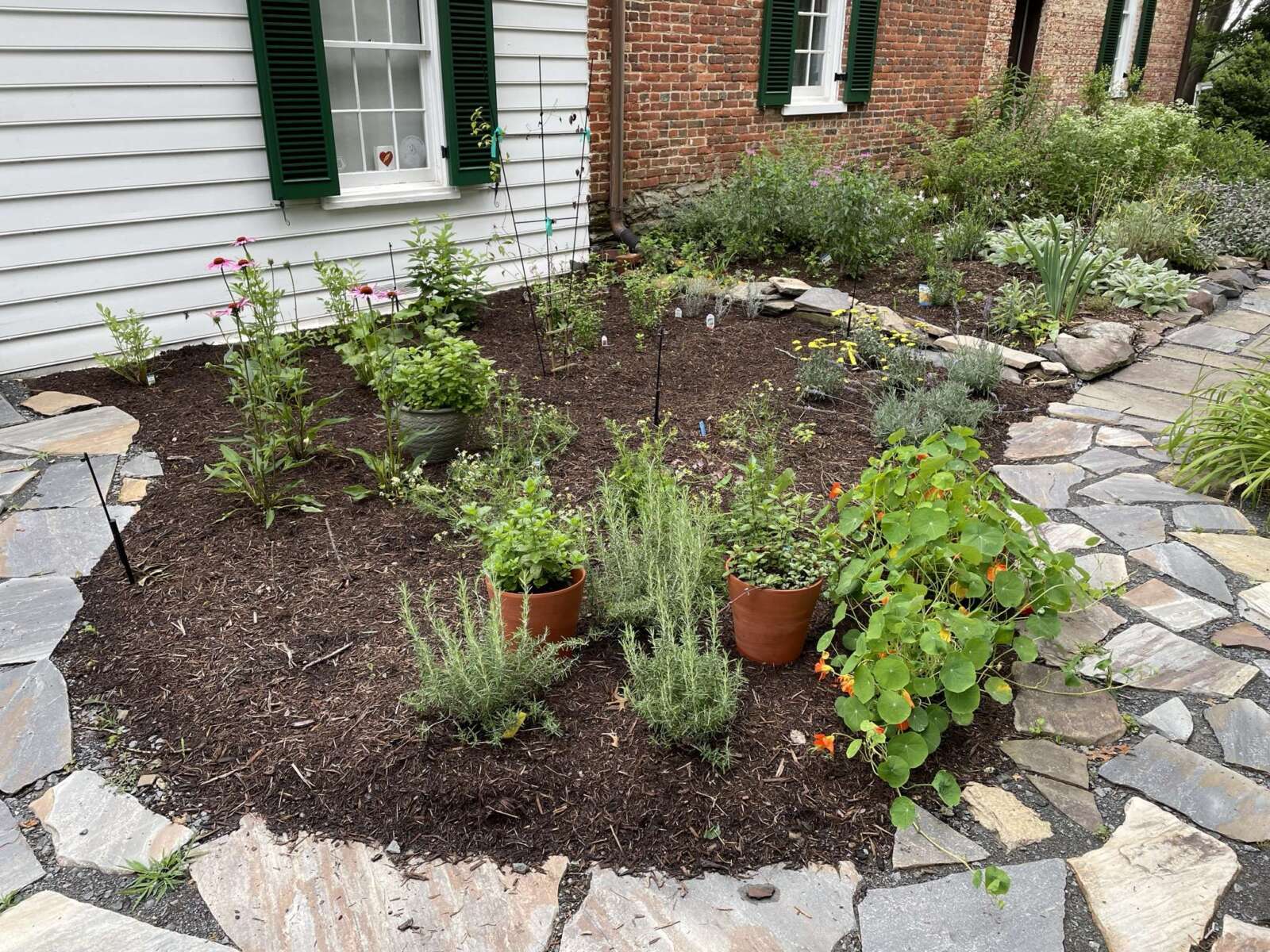 New herb garden at Colvin Run Mill returns to natural roots